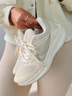 Pegasus 39