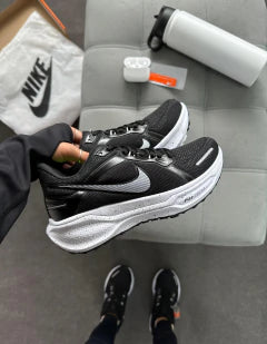 pegasus 41
