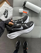 pegasus 41