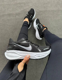 pegasus 41