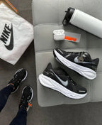 pegasus 41