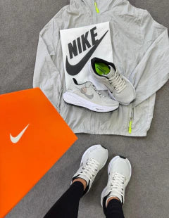 pegasus 41
