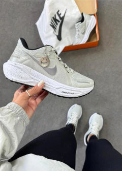 pegasus 41