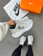 pegasus 41
